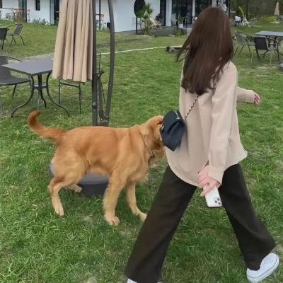 传送